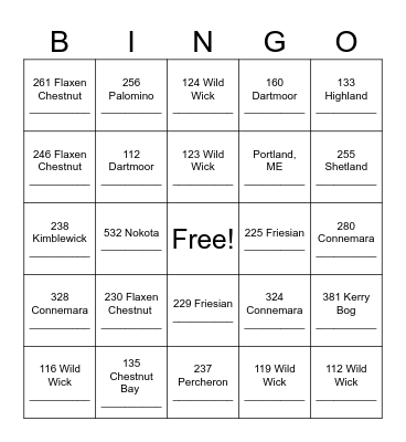 Solos Address Blackout Bingo Card