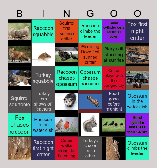 CRITTER VISION Bingo Card