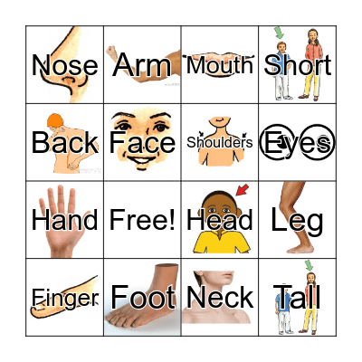 Bingo: My Body! Bingo Card