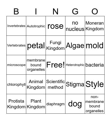 Biology Midterm Review Bingo Card