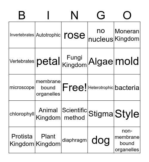 Biology Midterm Review Bingo Card