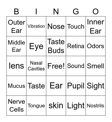 5 Senses Vocabulary Bingo Card