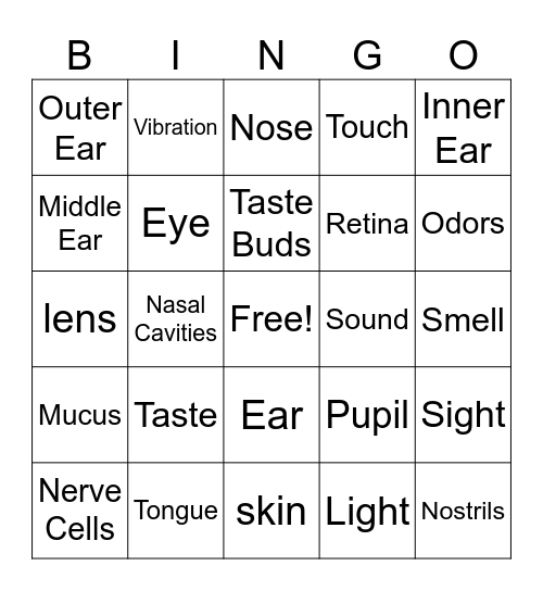 5 Senses Vocabulary Bingo Card