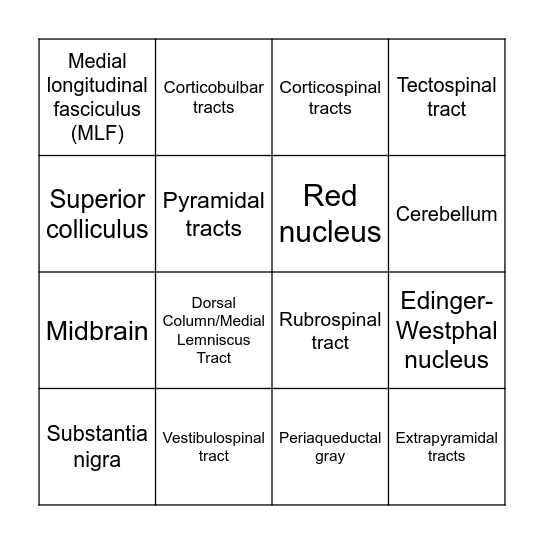 LO#1 Activity 2 Bingo Card