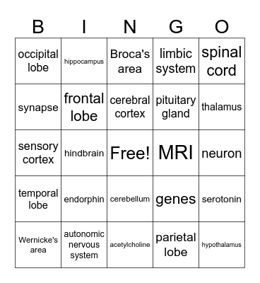 Biology & the Brain Bingo Card
