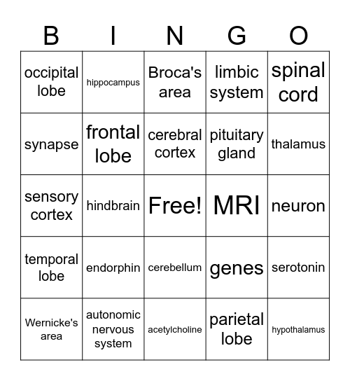 Biology & the Brain Bingo Card