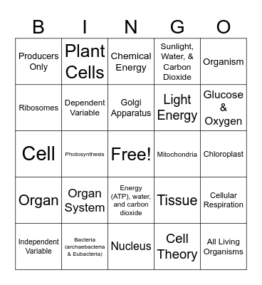 1st Quarter Review Bingo Card
