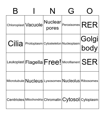 Organelles Bingo Card