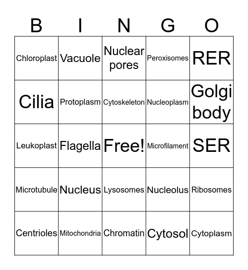 Organelles Bingo Card