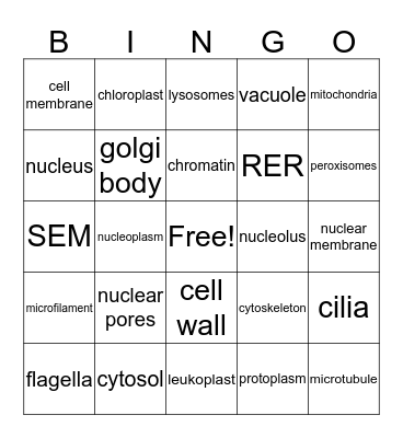Organelle BINGO Card
