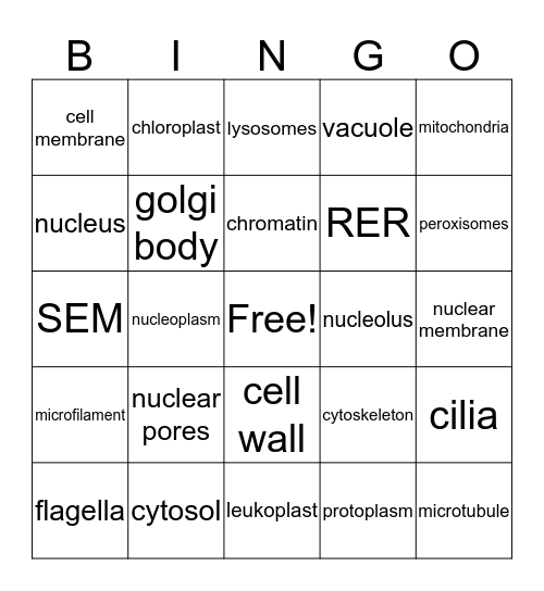 Organelle BINGO Card