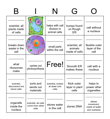 Cell Quiz Bingo Card