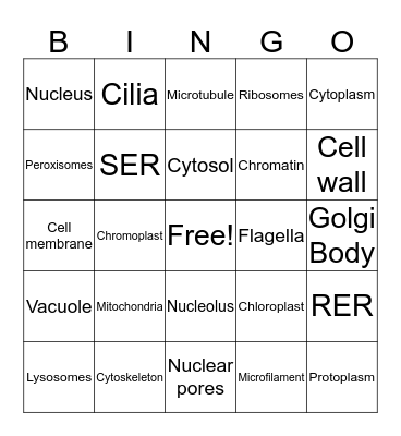 Cell Organelles Bingo Card