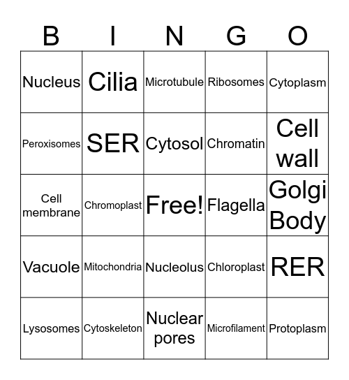 Cell Organelles Bingo Card