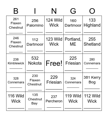 Solos Address Blackout Bingo Card