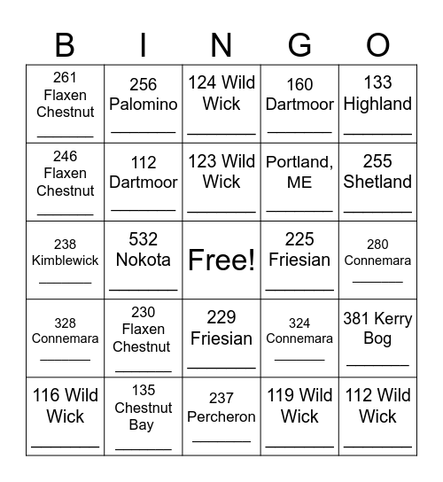 Solos Address Blackout Bingo Card