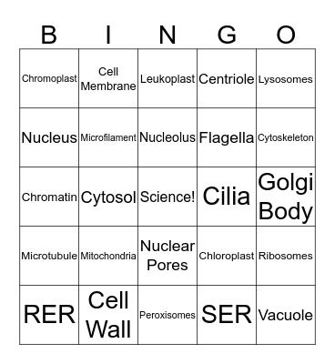 Cell Unit Biology Bingo Card