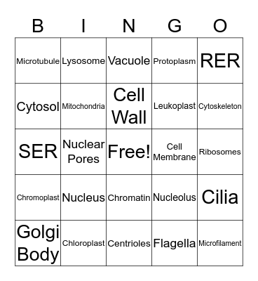 Cell Organelles Bingo Card