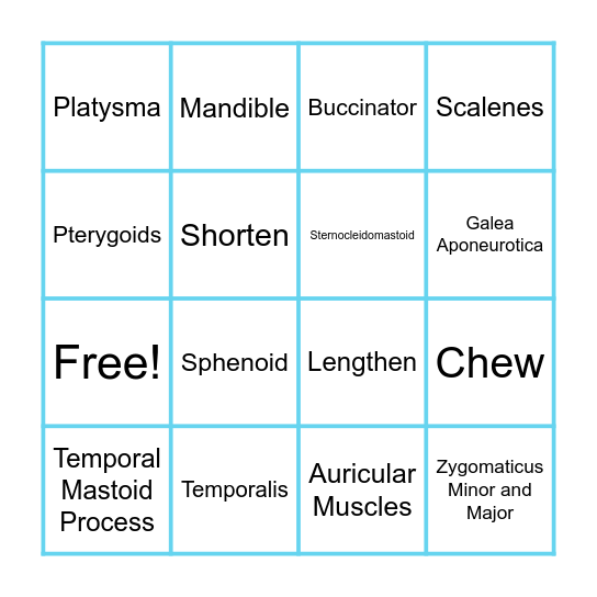 Kinesiology Bingo Card