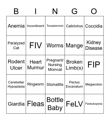 Cat Rescue Bingo Card