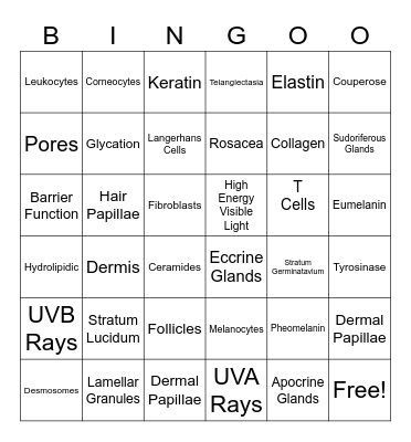 Skin Physiology Bingo Card