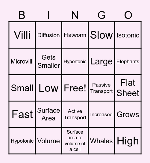 Cell Size & Transport Bingo Card