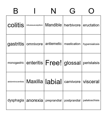 Digestive System Bingo Card