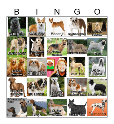 There was a farmer, had a dog... Bingo Card