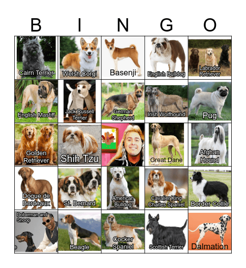 There was a farmer, had a dog... Bingo Card