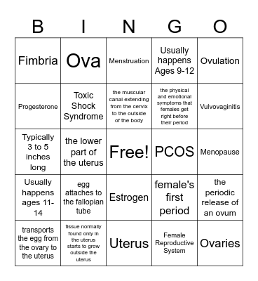 Female Reproductive System Bingo Card