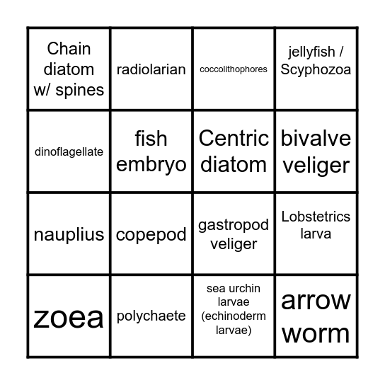 PLANKTO Bingo Card