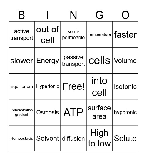 cell transport Bingo Card