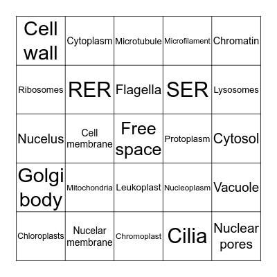 Cell Organelles  Bingo Card