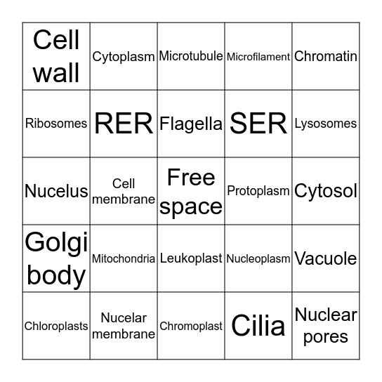 Cell Organelles  Bingo Card