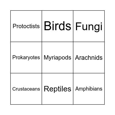 Classification Bingo! Bingo Card