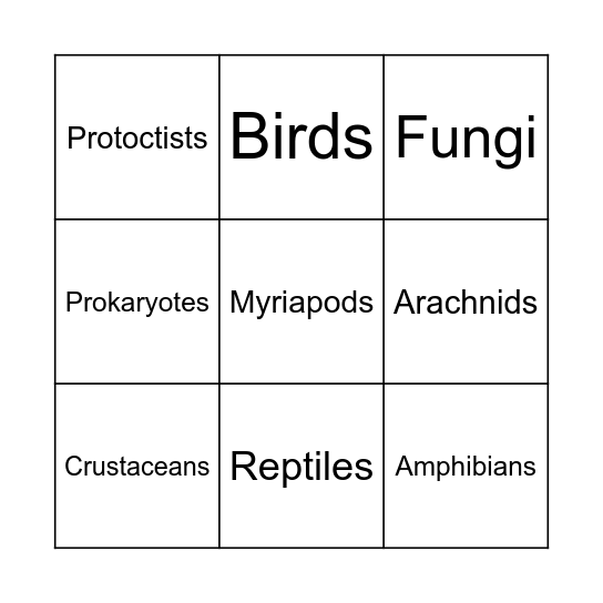 Classification Bingo! Bingo Card