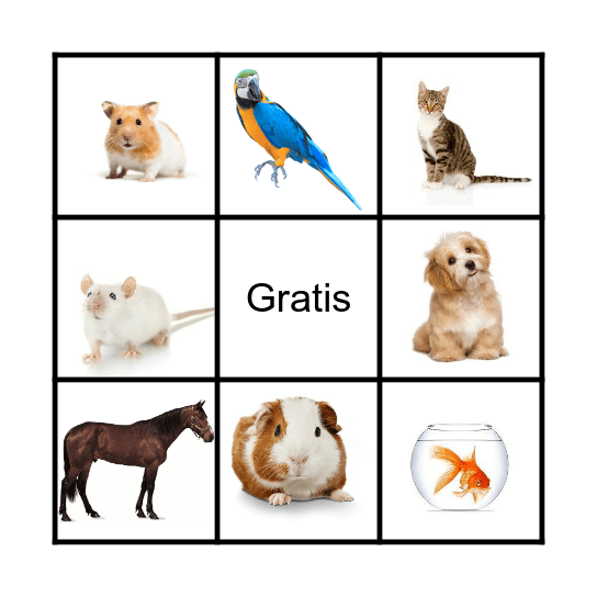 Mascotas Bingo Card