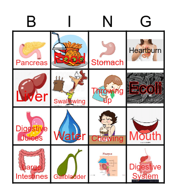 Digestive System Bingo Card