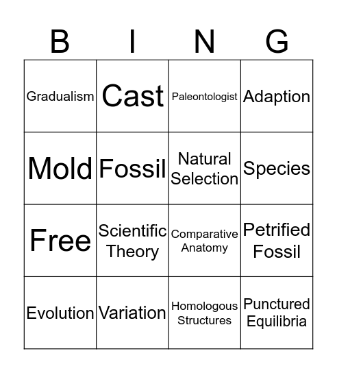 CH 7.2 Vocab Bingo Card