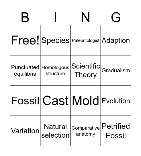 Ch 7.2 vocab Notes Bingo Card