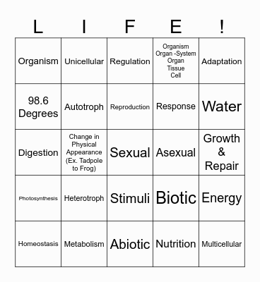 Characteristics of Life Bingo Card