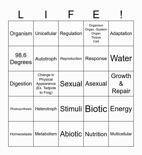 Characteristics of Life Bingo Card