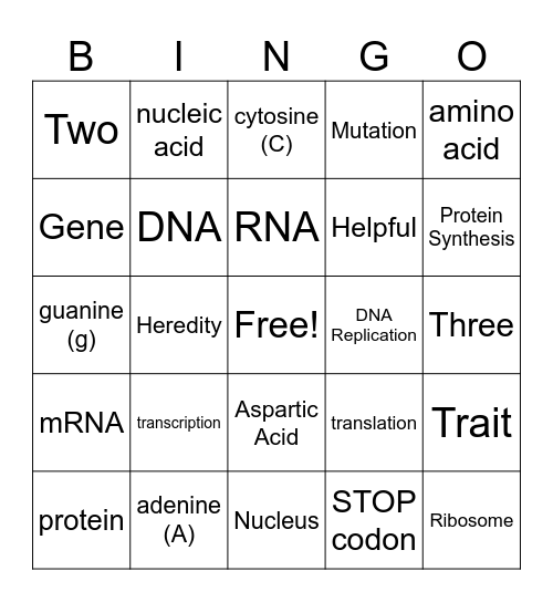 DNA Replication and Protein Synthesis Bingo Card