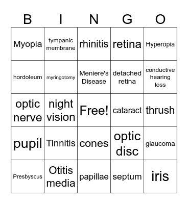 The Sensory System Bingo Card