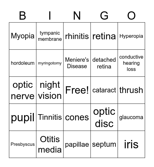 The Sensory System Bingo Card
