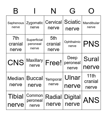 Nerves of the Body Bingo Card