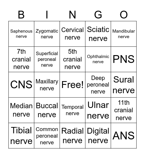 Nerves of the Body Bingo Card