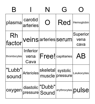 Cardiovascular system Bingo Card