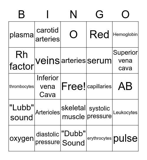 Cardiovascular system Bingo Card