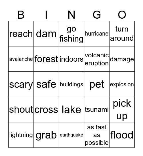 Natural disasters Bingo Card